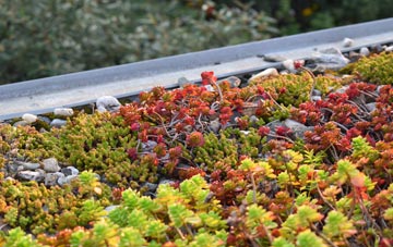 the cost of Liney green roof installation