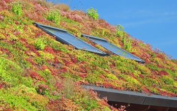 Liney living roof systems
